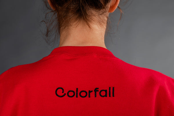 Red Sweater with Swans